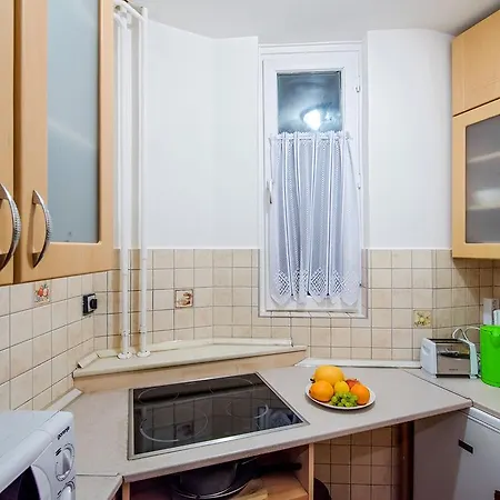 Free Parking, Ac, Wifi In The Center Apartament Budapesta