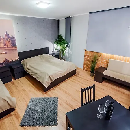 Apartament Free Parking, Ac, Wifi In The Center *