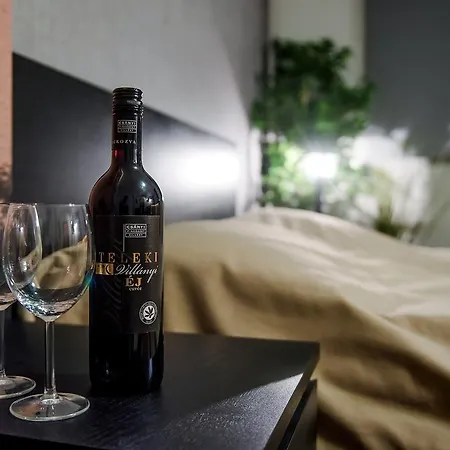 Free Parking, Ac, Wifi In The Center Apartament *